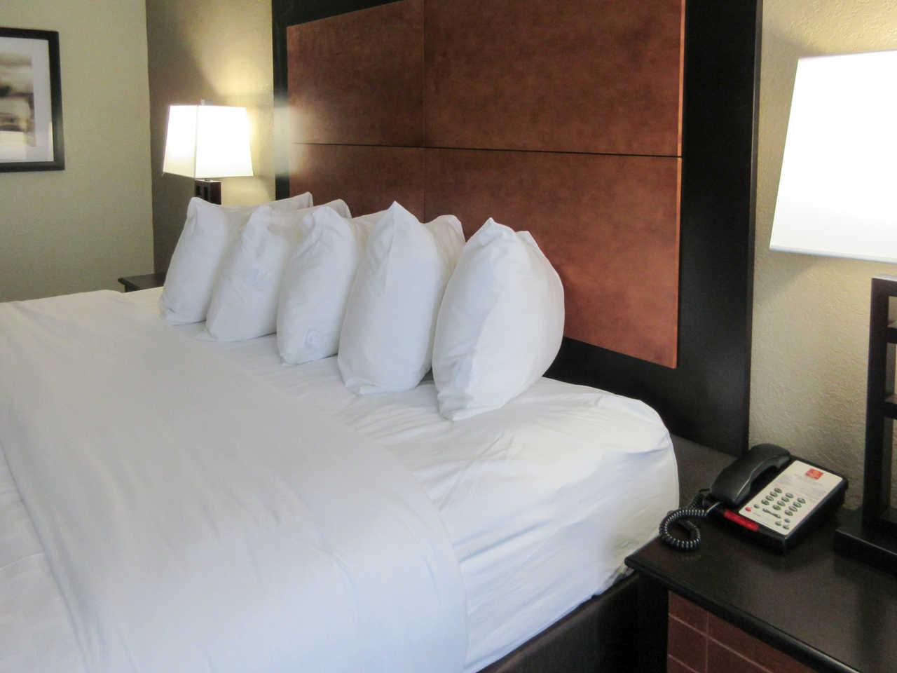 Ferry Pass Quality Inn מראה חיצוני תמונה